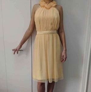 Dress/bridesmaid dress